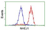 NHEJ1 Antibody in Flow Cytometry (Flow)