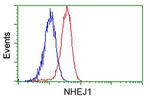 NHEJ1 Antibody in Flow Cytometry (Flow)