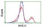 NHEJ1 Antibody in Flow Cytometry (Flow)