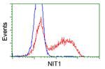 NIT1 Antibody in Flow Cytometry (Flow)