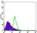 Nkx3.1 Antibody in Flow Cytometry (Flow)