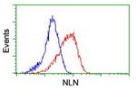 NLN Antibody in Flow Cytometry (Flow)