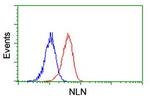 NLN Antibody in Flow Cytometry (Flow)