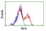 NLN Antibody in Flow Cytometry (Flow)