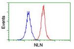 NLN Antibody in Flow Cytometry (Flow)