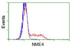 NME4 Antibody in Flow Cytometry (Flow)