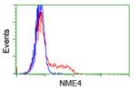 NME4 Antibody in Flow Cytometry (Flow)