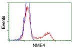 NME4 Antibody in Flow Cytometry (Flow)