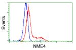 NME4 Antibody in Flow Cytometry (Flow)