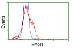 NME4 Antibody in Flow Cytometry (Flow)