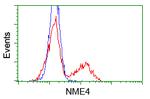 NME4 Antibody in Flow Cytometry (Flow)