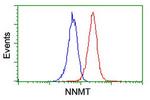 NNMT Antibody in Flow Cytometry (Flow)