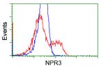 NPR3 Antibody in Flow Cytometry (Flow)