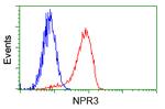 NPR3 Antibody in Flow Cytometry (Flow)