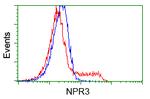 NPR3 Antibody in Flow Cytometry (Flow)