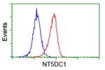 NT5DC1 Antibody in Flow Cytometry (Flow)