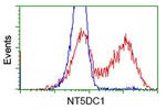 NT5DC1 Antibody in Flow Cytometry (Flow)