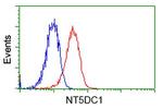 NT5DC1 Antibody in Flow Cytometry (Flow)