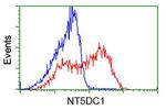 NT5DC1 Antibody in Flow Cytometry (Flow)