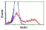 NUB1 Antibody in Flow Cytometry (Flow)