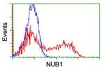 NUB1 Antibody in Flow Cytometry (Flow)