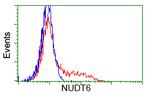 NUDT6 Antibody in Flow Cytometry (Flow)