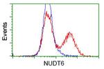 NUDT6 Antibody in Flow Cytometry (Flow)