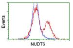 NUDT6 Antibody in Flow Cytometry (Flow)