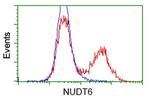 NUDT6 Antibody in Flow Cytometry (Flow)