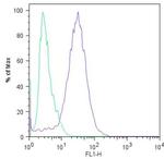 Nanog Antibody in Flow Cytometry (Flow)