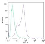 Nanog Antibody in Flow Cytometry (Flow)