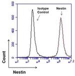Nestin Antibody in Flow Cytometry (Flow)