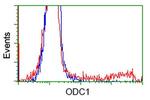 ODC1 Antibody in Flow Cytometry (Flow)