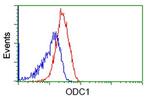 ODC1 Antibody in Flow Cytometry (Flow)