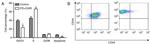 CD44 Antibody in Flow Cytometry (Flow)