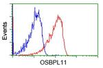 OSBPL11 Antibody in Flow Cytometry (Flow)