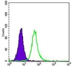 OTX2 Antibody in Flow Cytometry (Flow)