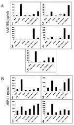 CCL5 (RANTES) Antibody