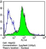 GATA4 Antibody in Flow Cytometry (Flow)