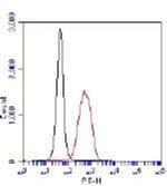 PHD2 Antibody in Flow Cytometry (Flow)