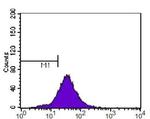 p14ARF Antibody in Flow Cytometry (Flow)