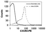 CXCR4 Antibody in Flow Cytometry (Flow)