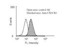 CX3CR1 Antibody in Flow Cytometry (Flow)