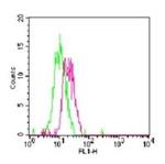 TLR7 Antibody in Flow Cytometry (Flow)