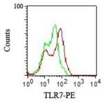 TLR7 Antibody in Flow Cytometry (Flow)