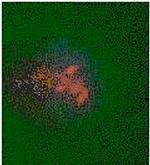 5-Methylcytosine Antibody in Immunocytochemistry (ICC/IF)