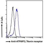 ATP6IP2 Antibody in Flow Cytometry (Flow)