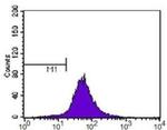 ABCA1 Antibody in Flow Cytometry (Flow)