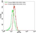 TLR12 Antibody in Flow Cytometry (Flow)