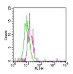 TLR12 Antibody in Flow Cytometry (Flow)